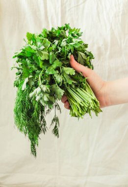 Salantro yeşillik bir kadının elinde