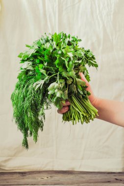 Salantro yeşillik bir kadının elinde
