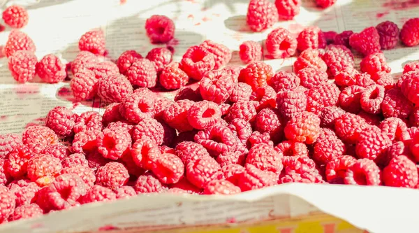 Red raspberries in a box on a blue wooden table. Fresh berries.Detox diet and summer food concept
