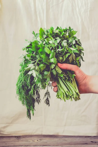 Salantro yeşillik bir kadının elinde