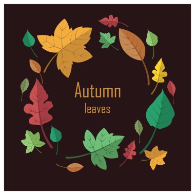 Güzel renkli sonbahar yaprakları