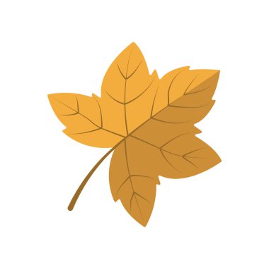 Sarı yaprak gösterimi