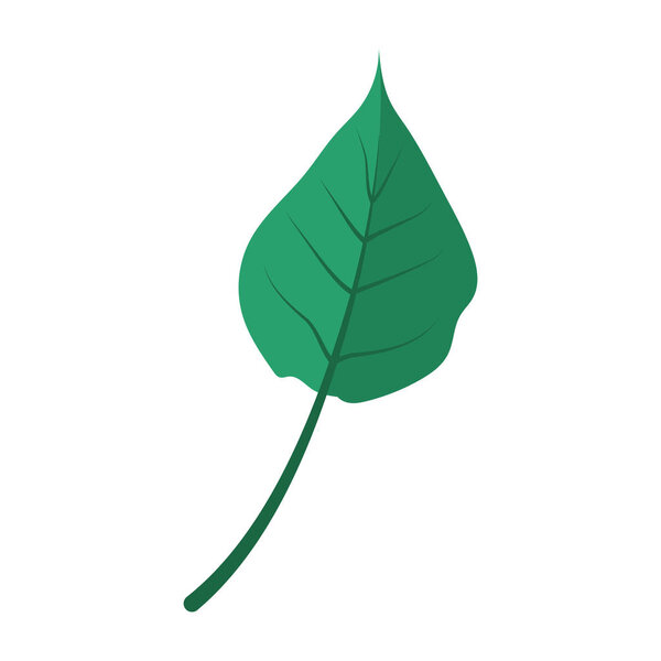 Illustration of a green leaf