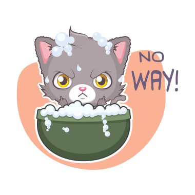 Komik sopa ile şirin Gri kedi - reddediyorum