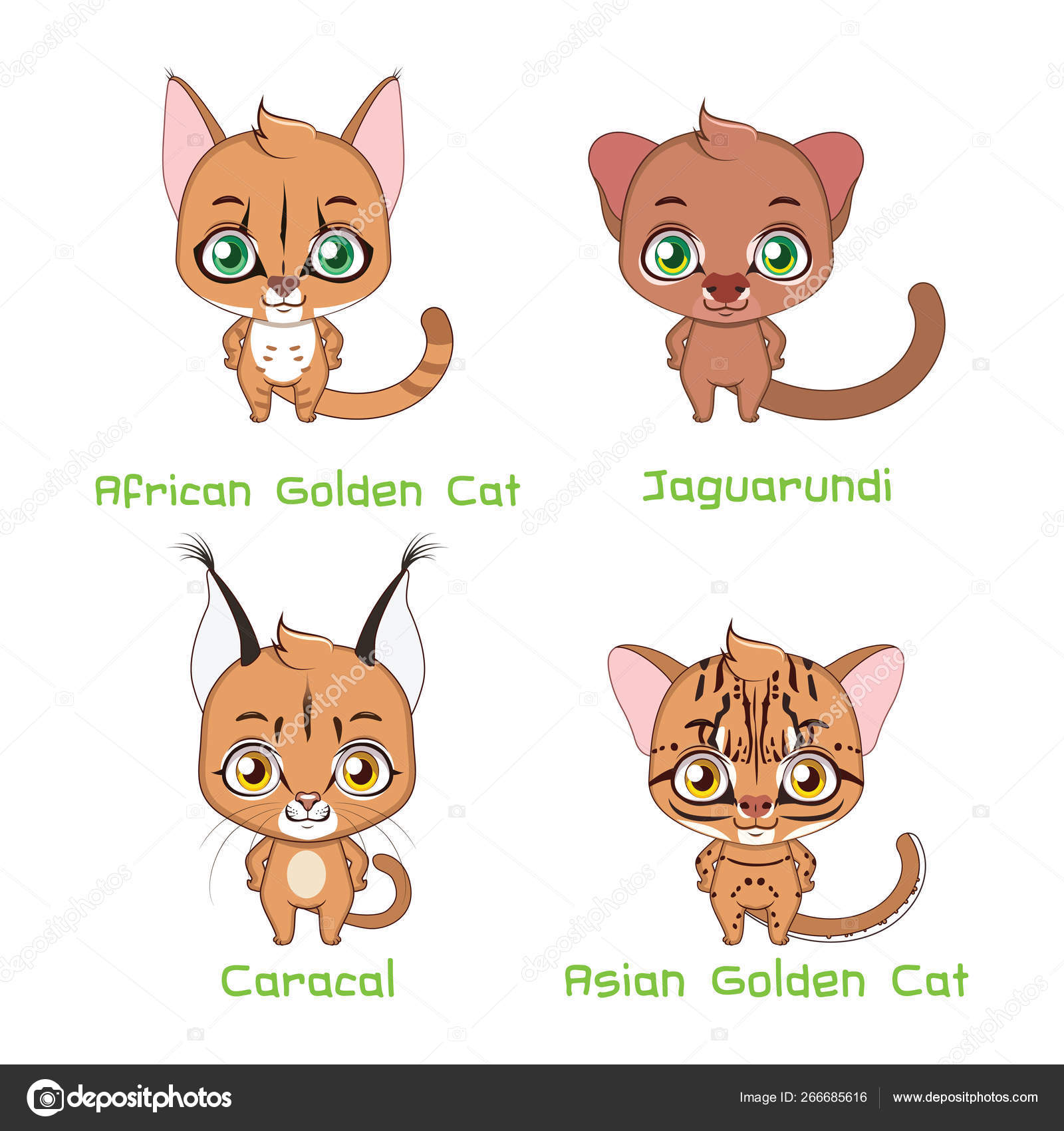 Set of medium sized wild cat species Stock Vector by ©AgnesSz