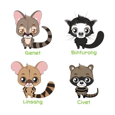 Animals belonging to the Viverridae family clipart