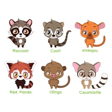 Animals belonging to the Procyonidae family clipart