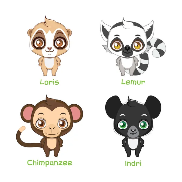 Conjunto de ilustrações de primatas —  Vetores de Stock
