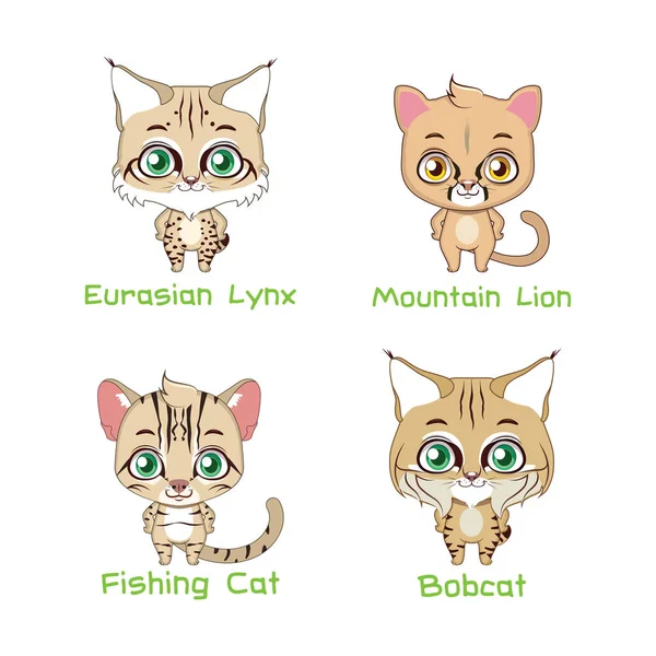 Conjunto de várias espécies felinas — Vetor de Stock