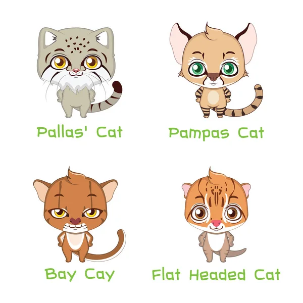Kolekcja różnych gatunków dzikich kotów — Wektor stockowy