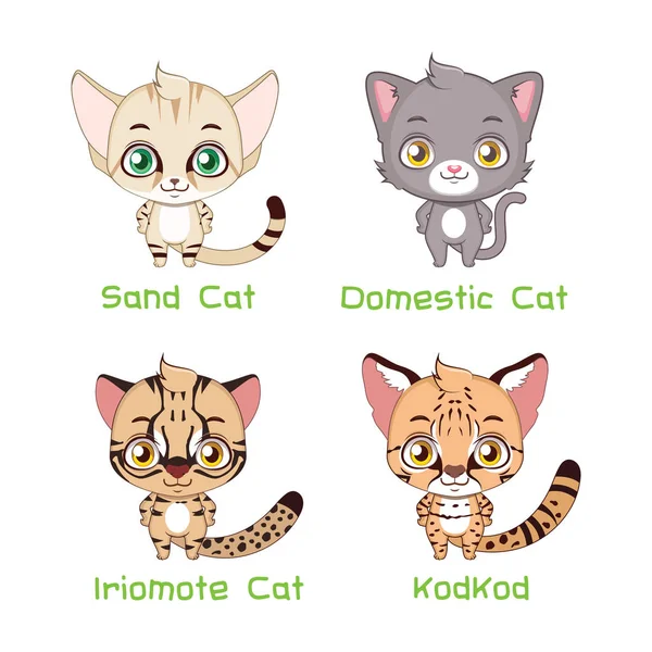 Conjunto de especies de gatos de pequeño tamaño — Vector de stock