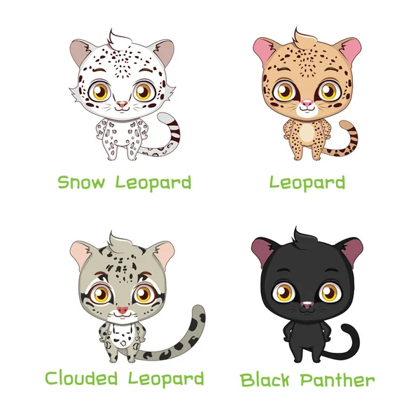 Set di specie di leopardo — Vettoriale Stock