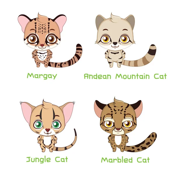 Conjunto de várias espécies de gatos selvagens — Vetor de Stock
