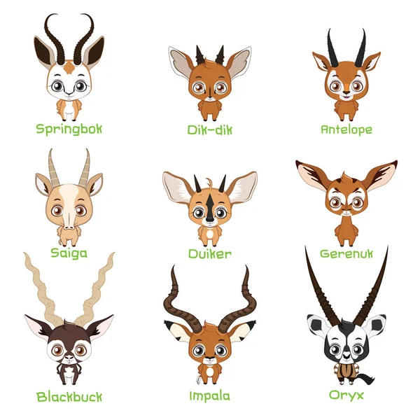 Ensemble Espèces Antilopes — Image vectorielle