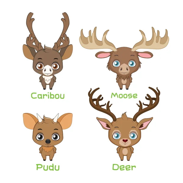 一组新的世界鹿种 — 图库矢量图片