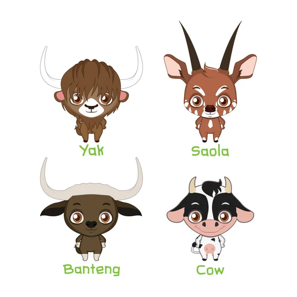 Conjunto de espécies bovinas —  Vetores de Stock
