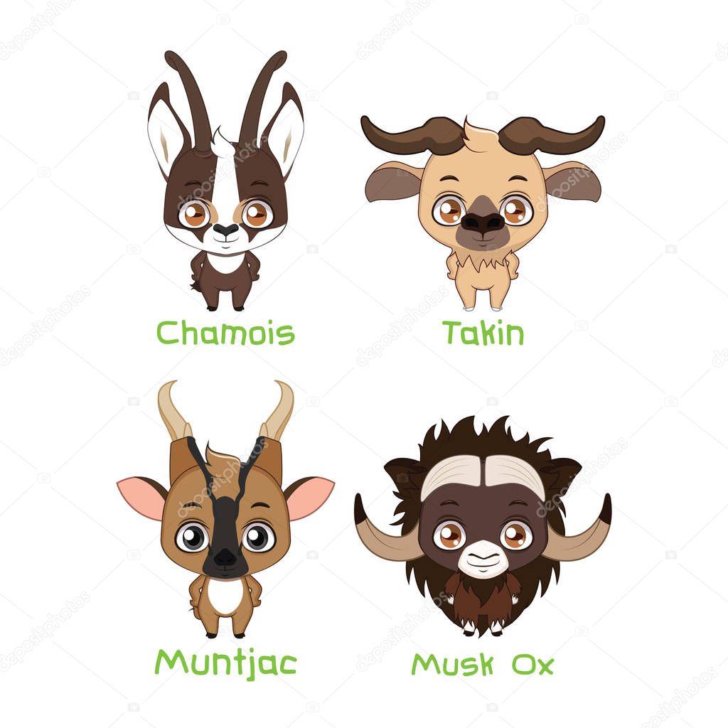 Set of various herbivores with horns