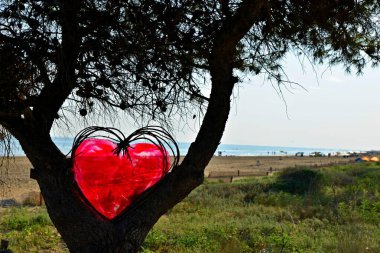 Doğal plajın romantik manzarası. Kırmızı kalp bir çam ağacına yerleştirilmiş. Ağaç dallarında cam kalpler. Yeşil çimenler, ince kum, deniz yüzeyi, mavi gökyüzü. Romantizm ve rahatlama.