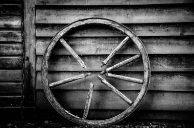 Kırık Vagon, Vintage Park