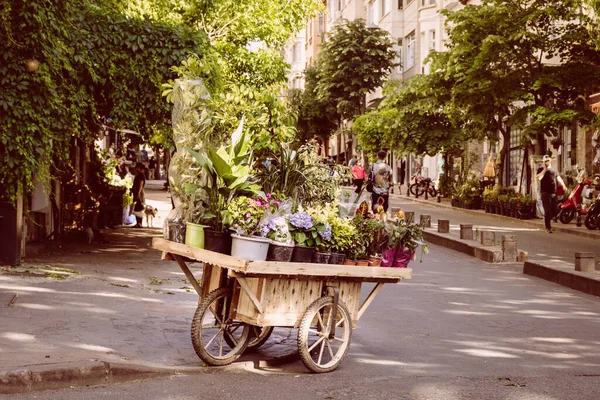 Çiçeklerle dolu bir çiçek arabası / sokak satıcısı yolun ortasında kalıyor, genel plan çok yeşil arka planda..