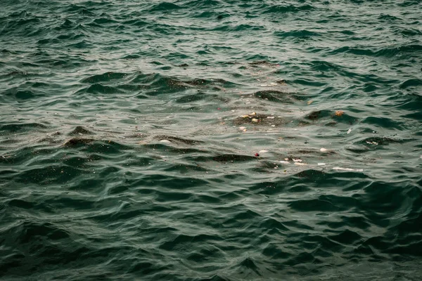 Deniz kirliliği manzarası, deniz yüzeyindeki insan atıkları.. 