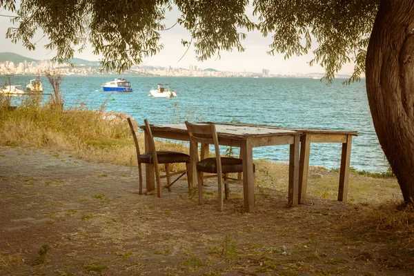 Eski ahşap bir masa ve ağaçların altında iki sandalye, deniz manzaralı otlarla kaplı bir plajda ve uzak bir şehirde.