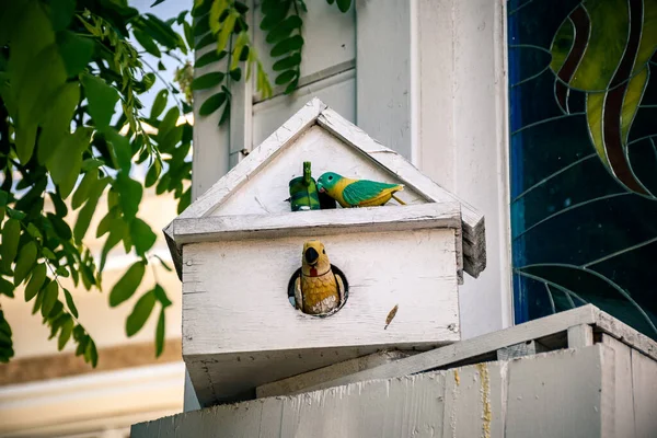İki renkli yapay kuşlu el yapımı beyaz ahşap kuş evi..
