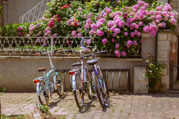 Pembe ve kırmızı yaz çiçekleriyle dolu bir bahçenin önüne park edilmiş ve kilitlenmiş klasik şehir bisikletleri..
