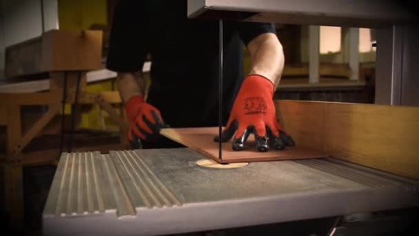 Fabricant Instruments Coupant Morceau Genévrier Taurus Sur Scie Ruban Atelier — Video