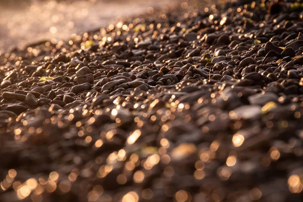 Deniz kenarındaki ıslak yuvarlak renkli taşlar mozaiği güneş ışığıyla parlıyor. yakın plan görüntüsü, bulanık arkaplan ve bulanık arkaplan.