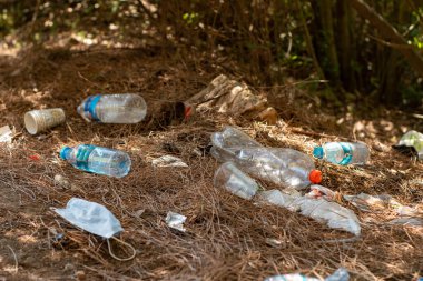 Çevre kirliliği. Plastik şişeler ve ormanda yere atılan koruyucu bir maske..