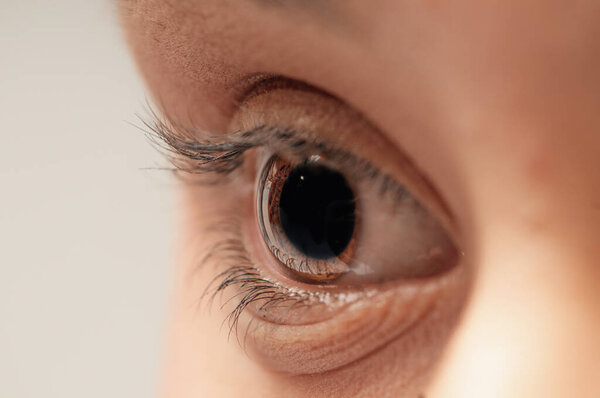 Крупный план женского глаза
