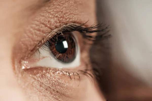 Un primer plano de un ojo de mujer Fotos de stock