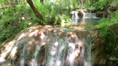 Türkiye 'nin Antalya kentindeki ünlü Kursunlu şelalesi, güneşli bir günde yeşil bitkiler ve çiçeklerle çevrili. 4k stok video.