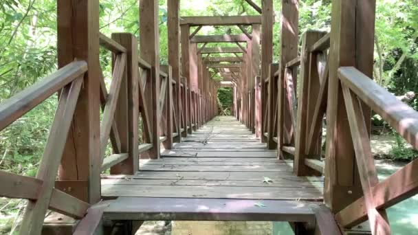 탈리아 공원에 기하학적 교량이다 비디오 — 비디오