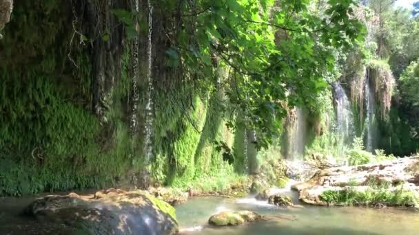 在一个阳光灿烂的日子里 土耳其安塔利亚著名的Kursunlu瀑布环绕着绿色的植物和花朵 4K股票视频 — 图库视频影像