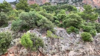 Alttan dağ manzaralı yüksek bulutlu ağaçlarla kaplı. 4k stok video. 