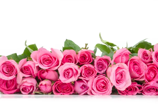 Grens Van Mooie Verse Zoete Roze Roos Voor Liefde Romantisch — Stockfoto