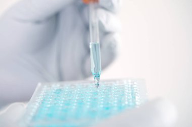 Mikro tüp plaka, klinik veya analiz konsept testleri bilim Dna moleküllerinin çıkarılan mavi analiz laboratuarında çalışan bir bilim adamının kapatın
