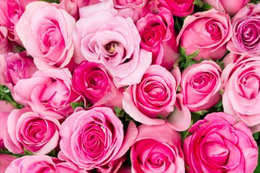 tatlı bir pembe pembe soyut aydınlatma arka plan için sevgi ve Romaca kavramı üzerinde kapatın 