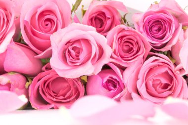 tatlı bir pembe pembe soyut aydınlatma arka plan için sevgi ve Romaca kavramı üzerinde kapatın 