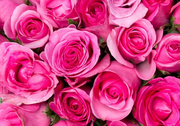 Fechar Rosa Claro Doce Fundo Iluminação Abstrata Rosa Para Amor — Fotografia de Stock