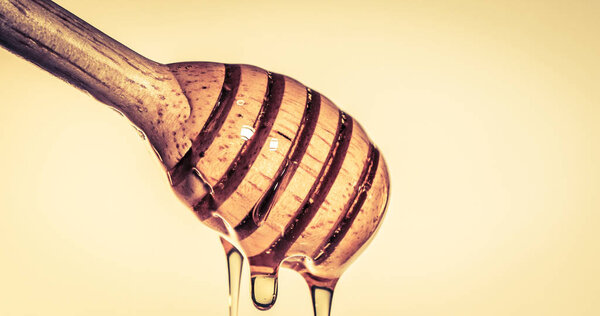 Close up pouring golden sweet honey dripping  on honey dipper