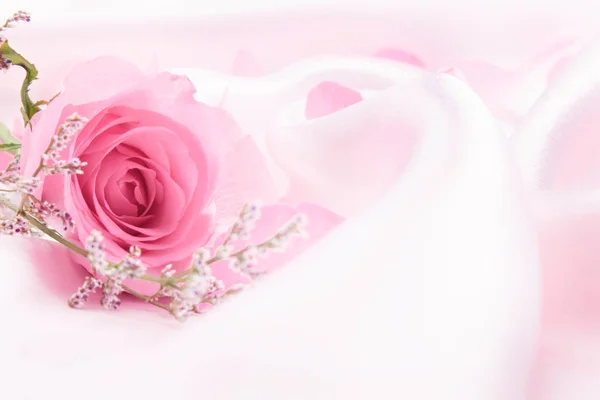 Doce Suave Rosa Flores Para Amor Romance Fundo — Fotografia de Stock