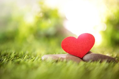 Yeşil taze çimenlerin üzerinde kırmızı kalp şekli kapatmak, iyi dinlenmek ve romantik duygu simgesi, Sevgililer günü arka plan seviyorum 