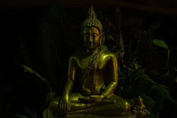 Buddha statue in the night — Stock Photo, Image