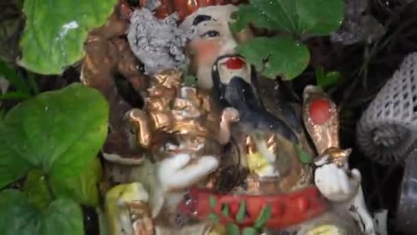 Statue Vietnamienne Luxing Couché Dans Herbe Parmi Les Ordures — Video