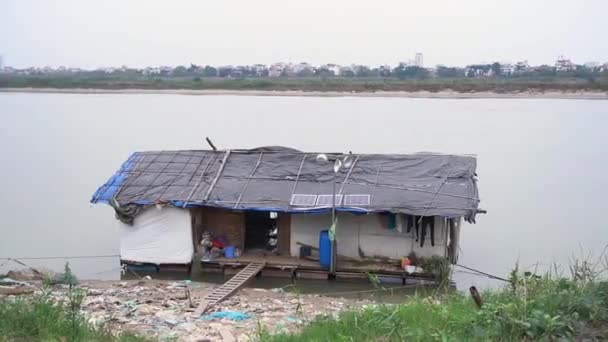 海滩附近的棚屋 死了的动物 可怕的景象 中至近距离射击 — 图库视频影像