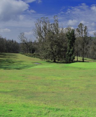 Ooty golf sahasının manzarası ve otlağı. Ooty, Hindistan 'ın çok popüler bir turistik beldesidir. Tamilnadu eyaletinin Nilgiri Dağları eteklerinde bulunur.