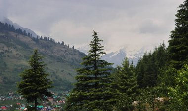 Manali Tepesi 'nden güzel Himalaya dağ etekleri yaz mevsiminde yemyeşil doğa, Hindistan' ın Himachal Pradesh kentindeki kullu vadi.